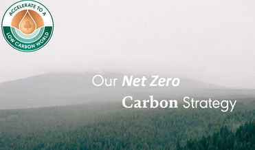 Download Our Net-Zero Carbon Strategy PDF