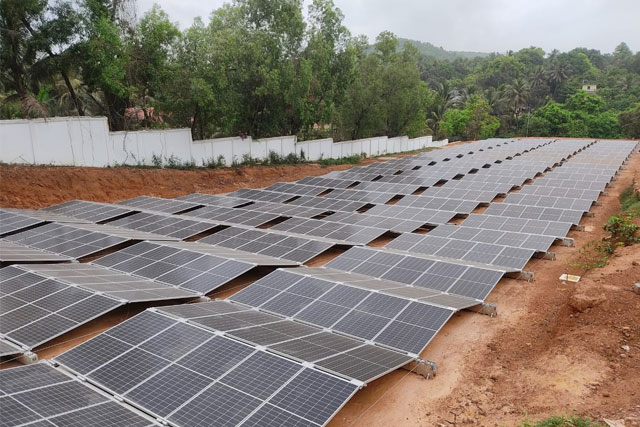 Agave Field Aerial Shot