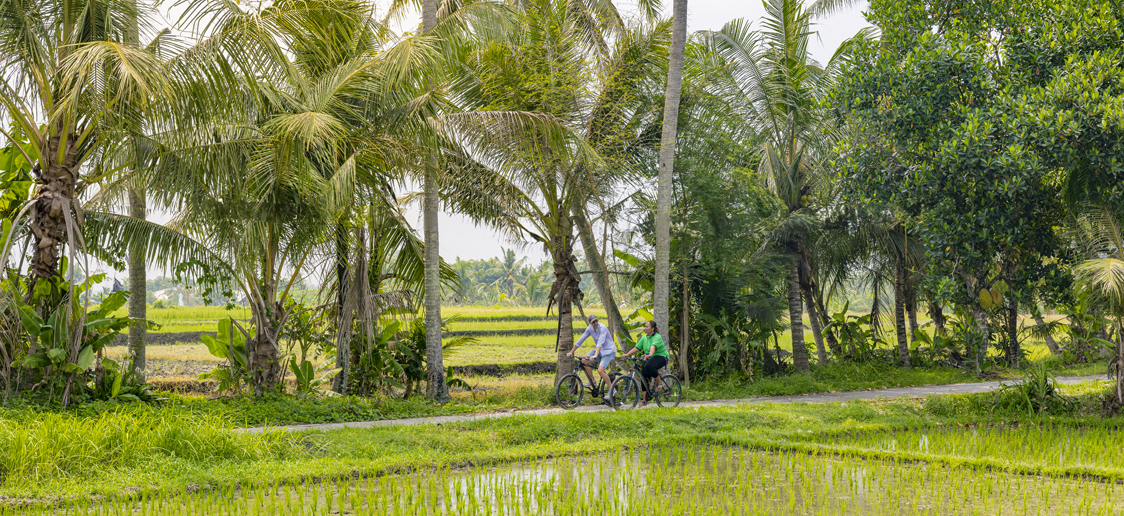 Pioneer Grain to Glass