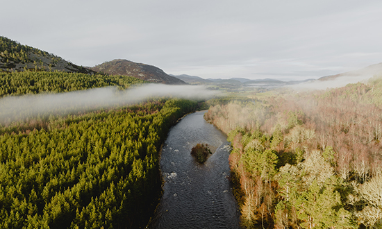 Diageo India Advances its Spirit of Progress Agenda with Tangible ESG Progress in FY25