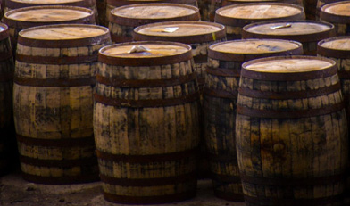 Diversity, equity and inclusion